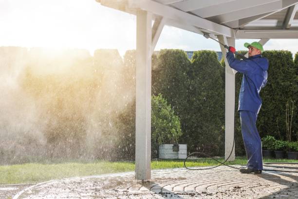 Best Driveway Pressure Washing  in West Wyoming, PA
